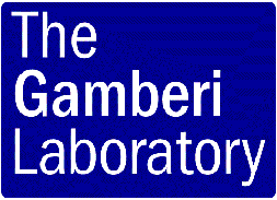 The Gamberi Lab logo