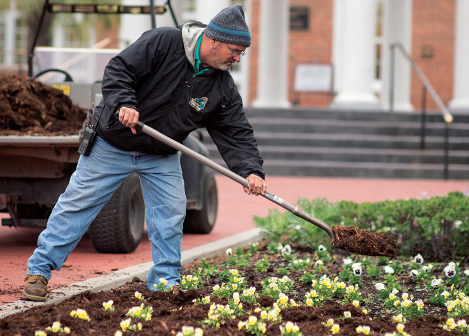 Wayne Cooper, a CCU grounds crew leader, adds mulch to a winter flower bed.
