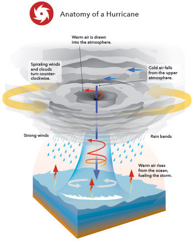 Anatomy of a Hurricane