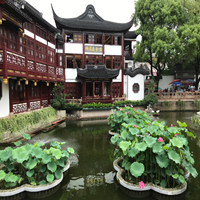 View of Yuyuan Garden (City God Temple) Shanghai China