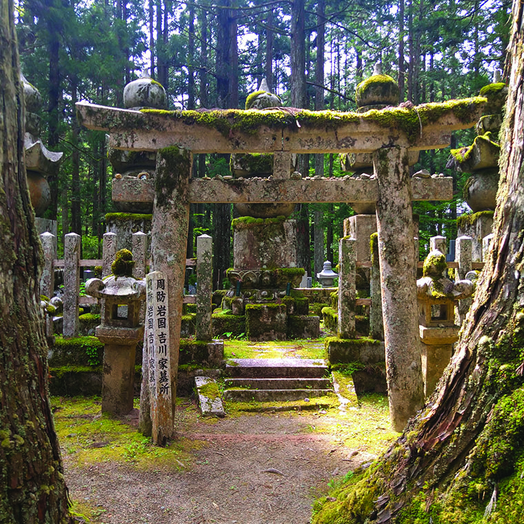 A moss-covered temple structure in the forest in Japan
