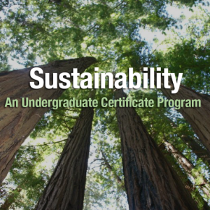 Sustainability Certificate Program