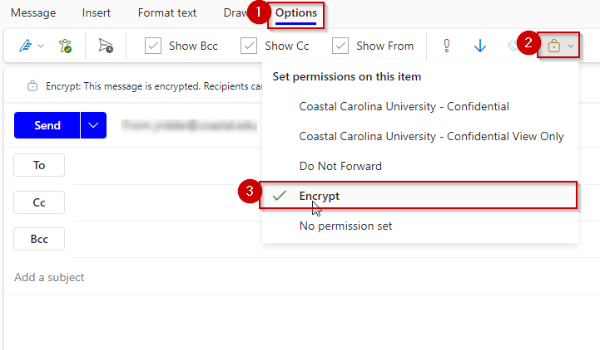 A screenshot of encryption options for new mail messages using Outlook on the web.