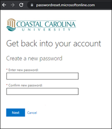Figure 5: After verifying who you are, you will be directed to this screen to create your CCU password.
