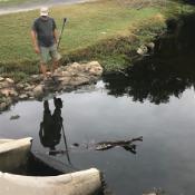 A volunteer stands by a pond 