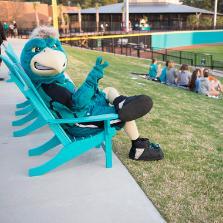 Chauncey in teal chair
