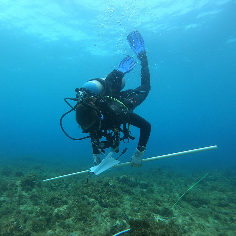 Madden will conduct research with the Discovery Bay Marine Lab team at the University of the West Indies in Jamaica.