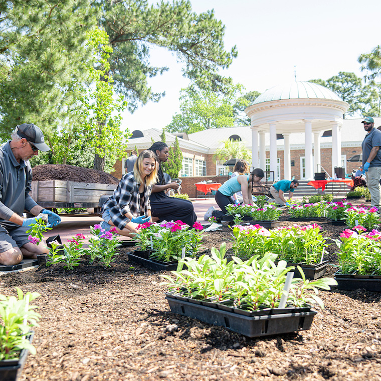 Campus beautification is one of Sustain Coastal's efforts.